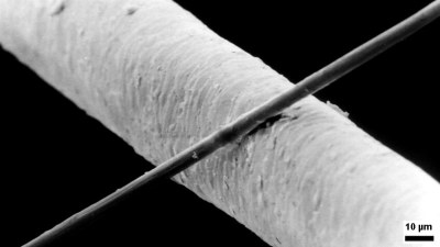 Una fibra de carbono con un diámetro de 6 μm, en comparación con un cabello humano con un diámetro de 50 μm. (Fuente: Wikimedia)