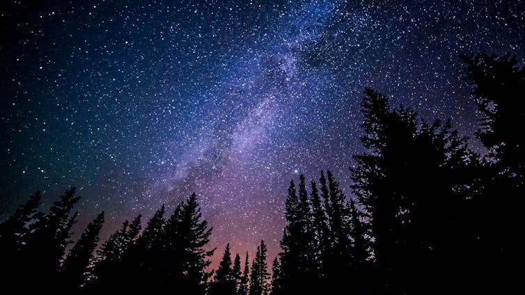 Cielo estrellado, contornos de árboles.