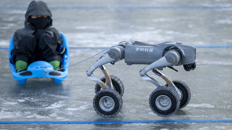 Los robots Unitree tiran del trineo sobre el hielo.